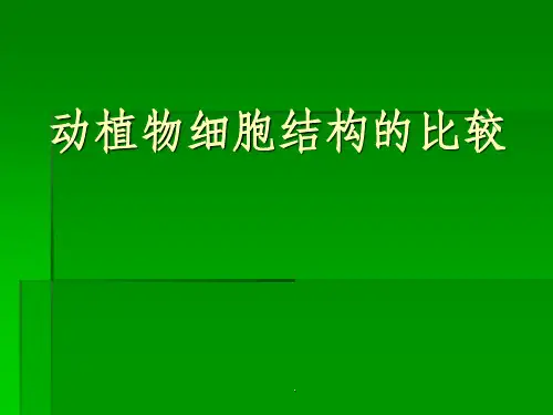 动植物细胞结构比较PPT课件