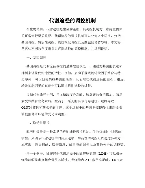 代谢途径的调控机制