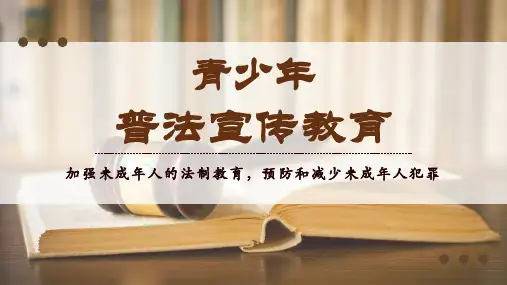 青少年普法教育宣传