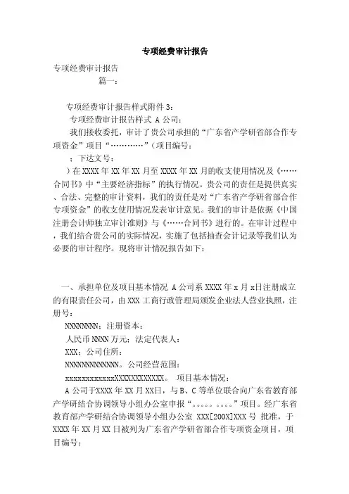 专项经费审计报告（范本）