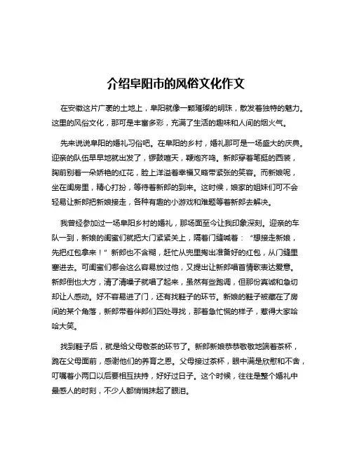 介绍阜阳市的风俗文化作文