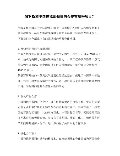 俄罗斯和中国在能源领域的合作有哪些项目？
