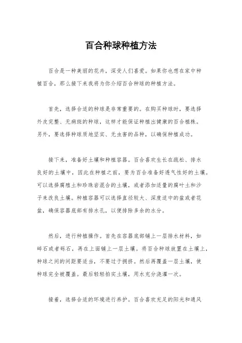 百合种球种植方法
