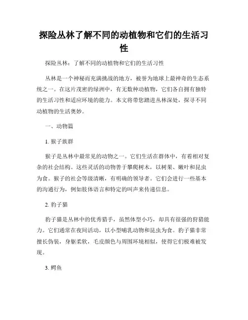 探险丛林了解不同的动植物和它们的生活习性
