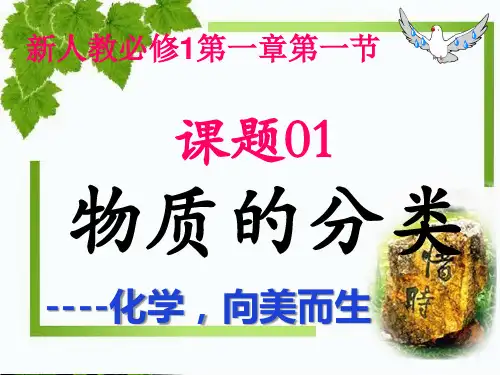 新教材高中化学《物质的分类及转化》PPT优秀课件1