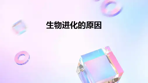 生物进化的原因课件