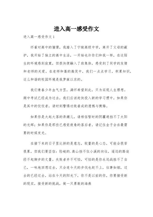 进入高一感受作文