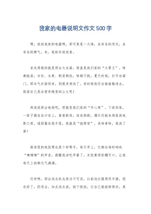 我家的电器说明文作文500字