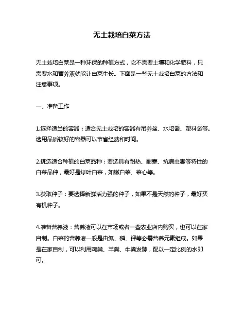 无土栽培白菜方法