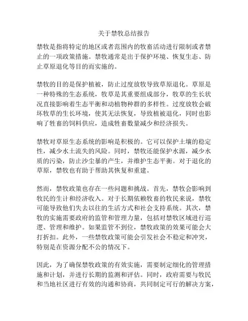 关于禁牧总结报告