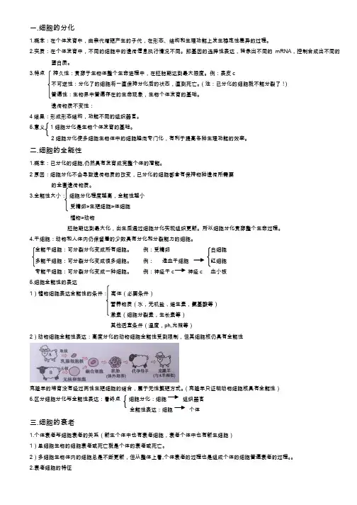 高中生物 分化,衰老,凋亡,癌变 知识点总结