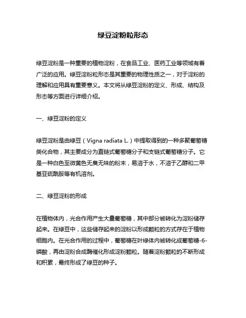 绿豆淀粉粒形态