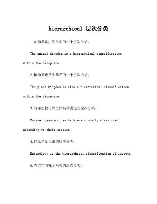 hierarchical 层次分类