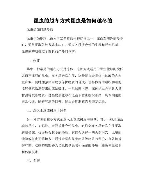 昆虫的越冬方式昆虫是如何越冬的