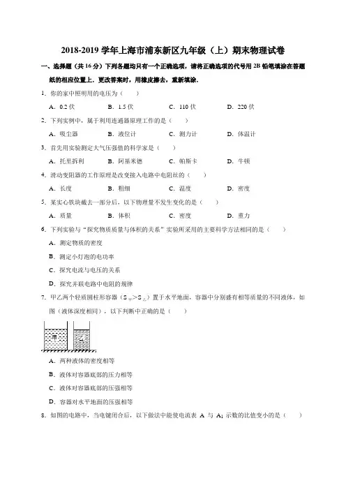 2018-2019学年上海市浦东新区九年级(上)期末物理试卷
