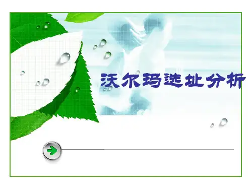 沃尔玛选址市场分析