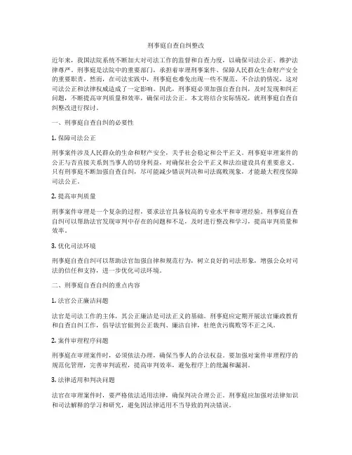 刑事庭自查自纠整改