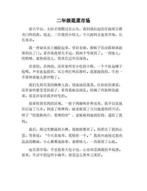 二年级作文逛菜市场