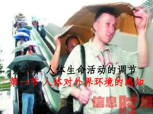 七年级生物下册《第四单元 第六章 第一节 人体对外界环境的感知》1 新人教版