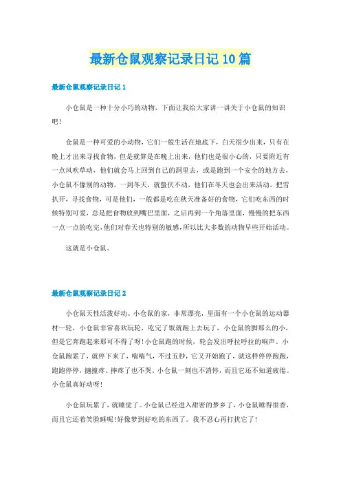 最新仓鼠观察记录日记10篇