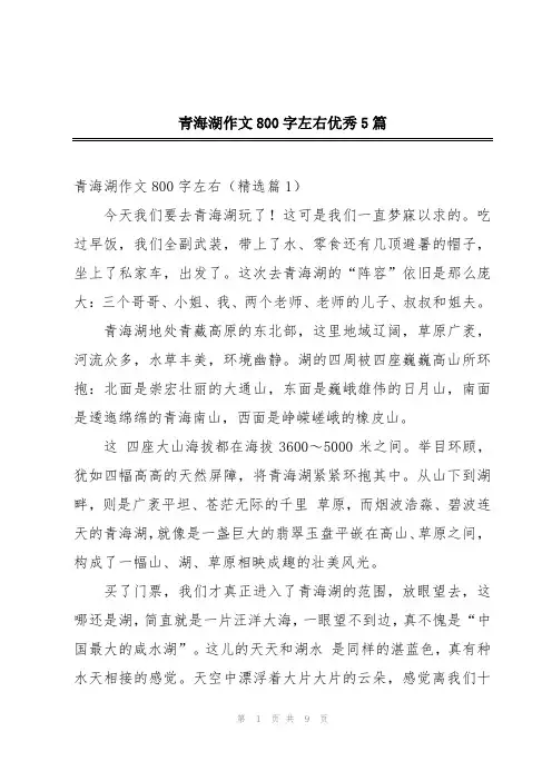青海湖作文800字左右优秀5篇