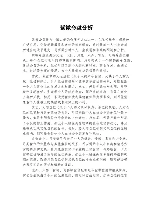 紫微命盘分析