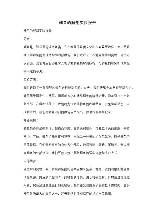 鲫鱼的解剖实验报告