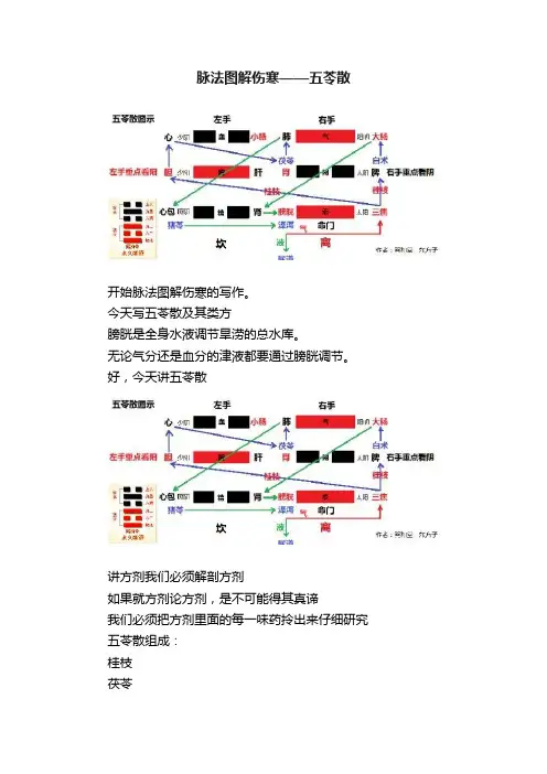 脉法图解伤寒——五苓散