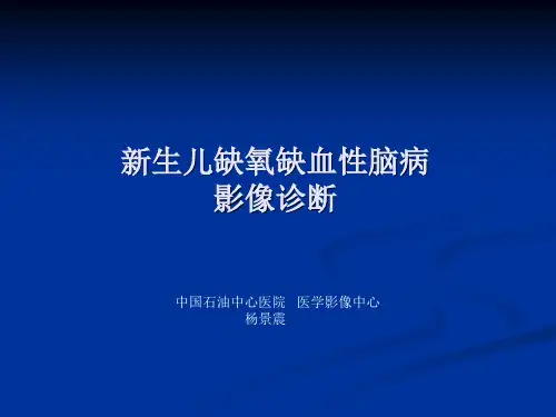 新生儿缺氧缺血性2014-11