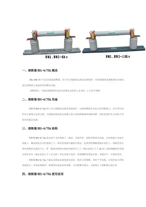 熔断器RN1-6-75A
