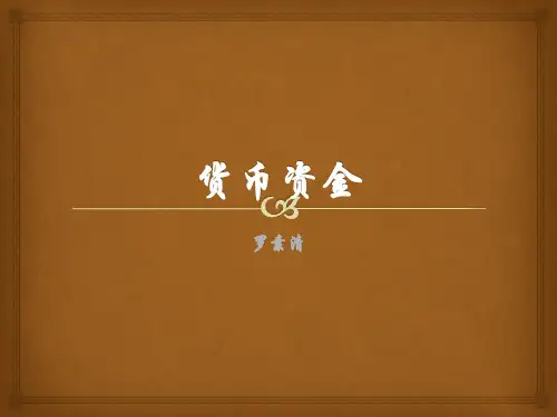 货币资金ppt