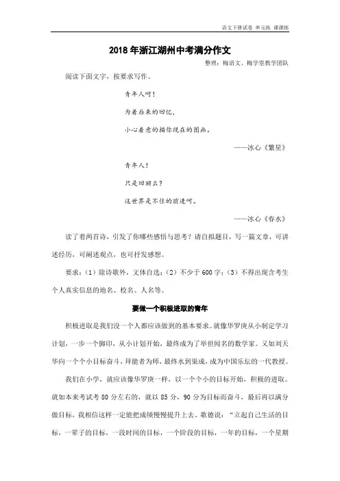 2018年浙江省湖州市中考满分作文：要做一个积极进取的青年.doc