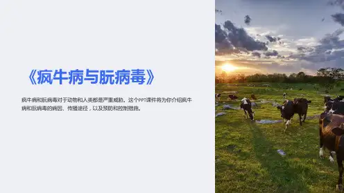 《疯牛病与朊病毒》课件