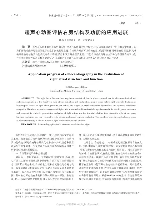 超声心动图评估右房结构及功能的应用进展