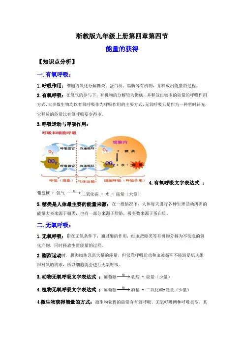 2022-2023学年浙江九年级上学期科学同步练习3-4能量的获得(讲义)(解析版)
