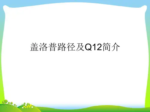 人力资源员工培训-盖洛普路径及Q12对我们的影响(PPT 19页)