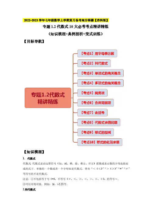 代数式10大必考考点精讲精练