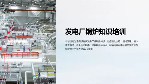 发电厂锅炉知识培训