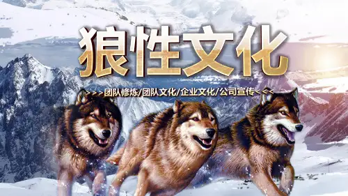 狼性文化狼道精神员工培训团队激励PPT