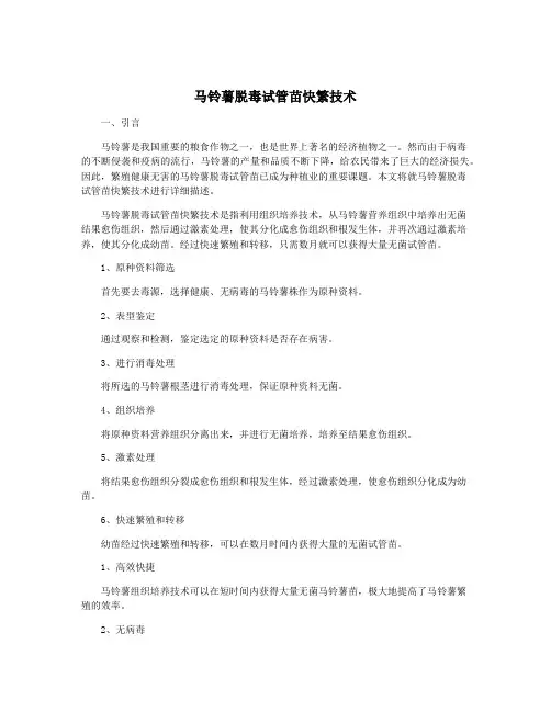 马铃薯脱毒试管苗快繁技术