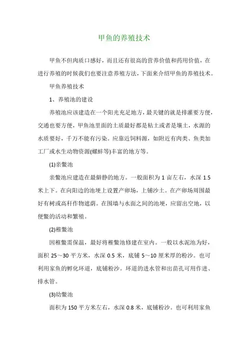 甲鱼的养殖技术