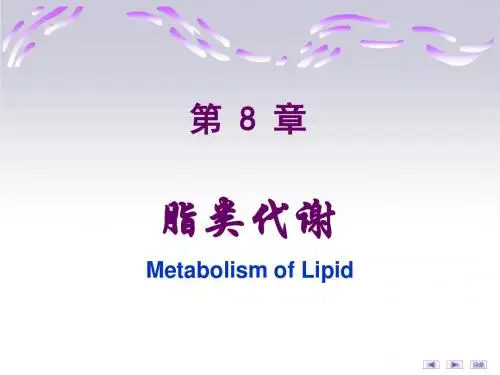 第08章脂类代谢 (2)