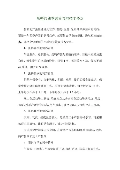 蛋鸭的四季饲养管理技术要点