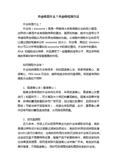外泌体是什么？外泌体检测方法