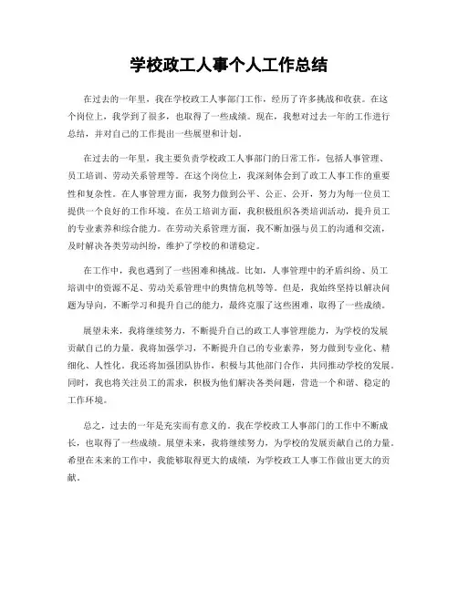 学校政工人事个人工作总结