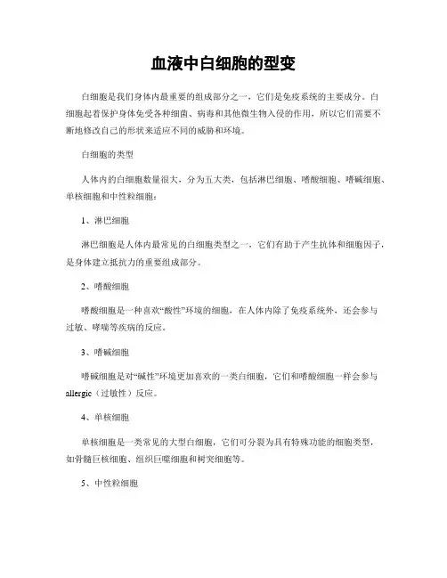 血液中白细胞的型变