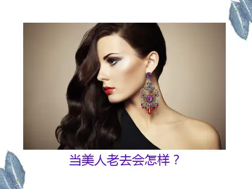 艺术美与形式美