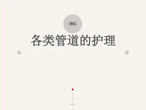 各类导管的护理  ppt课件