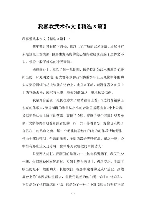 我喜欢武术作文【精选3篇】