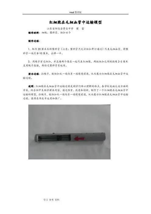 教具的制作(红细胞在毛细血管中运输模型)